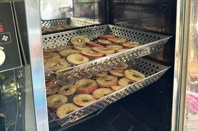 Apple Chips