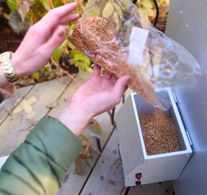 Guide to Smoking Wood Types – Understanding Flavors and Smoke Profiles